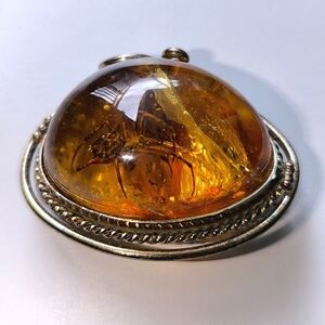 Giant Genuine Baltic Amber With Full SPIDER Sterling Silver Brooch SUPER RARE